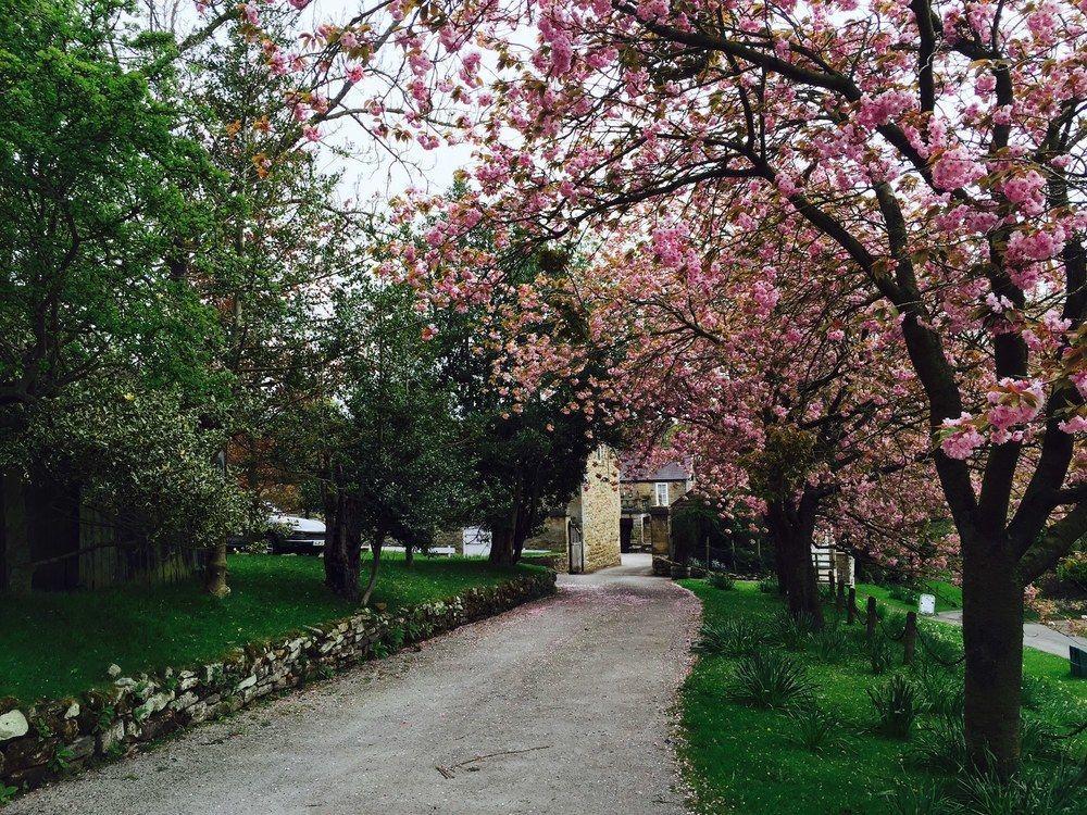 Lastingham Grange ภายนอก รูปภาพ